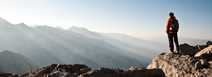 Succession and Transition Program